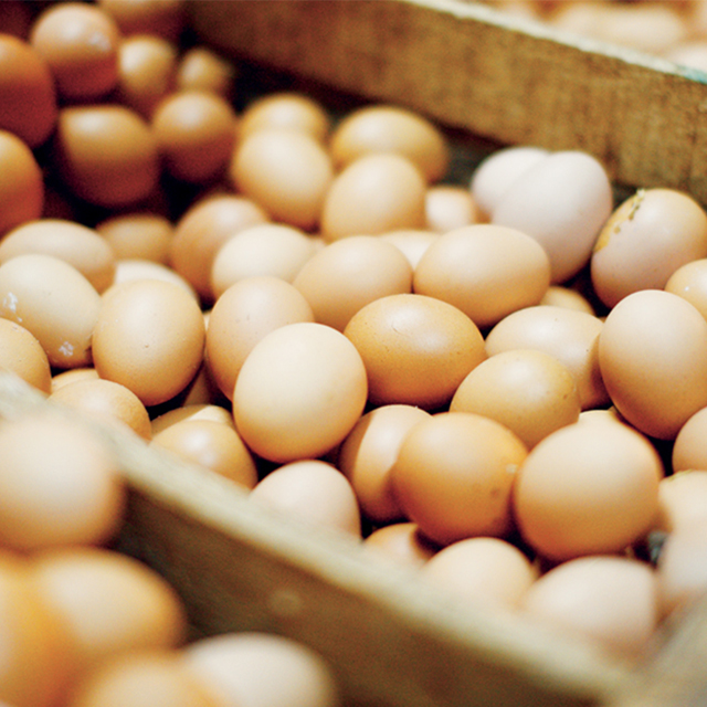 Topic 4: Food Costing