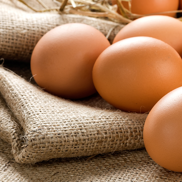 Topic 1: The Basics of Food Safety