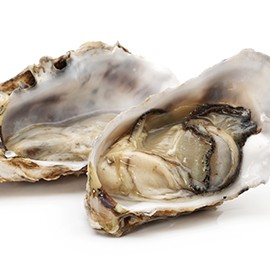 Oysters